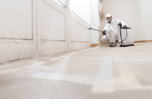 24/7 Emergency Mold Testing experts in Jackson, MI