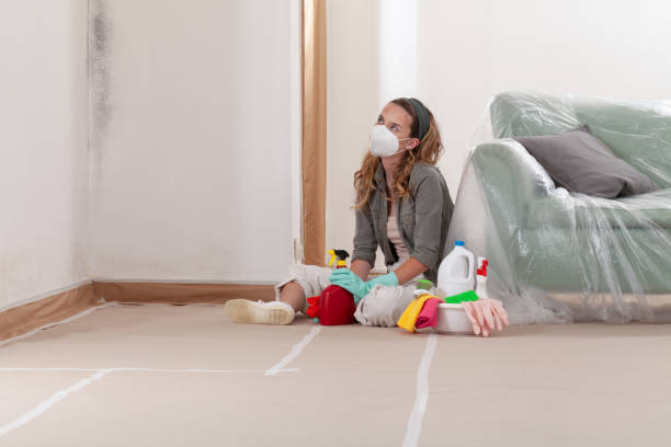 Trusted Mold Testing service in Jackson, MI - WQB Mold Removal